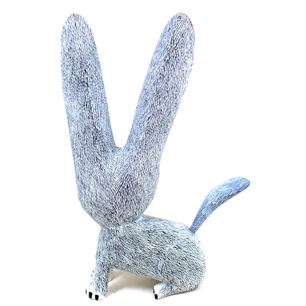 Justo Xuana:  Startled Bunny