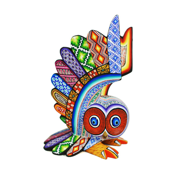Jose Calvo & Magaly Fuentes: Colorful Owl
