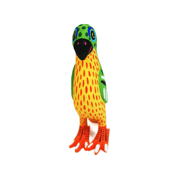 Luis Pablo: Parrot