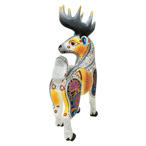 Luis Sosa: White Tailed Deer