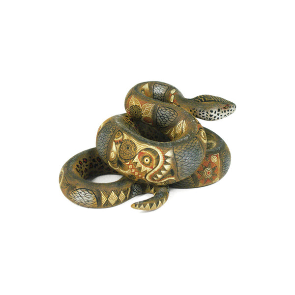 Raymundo Fabian: Miniature Snake