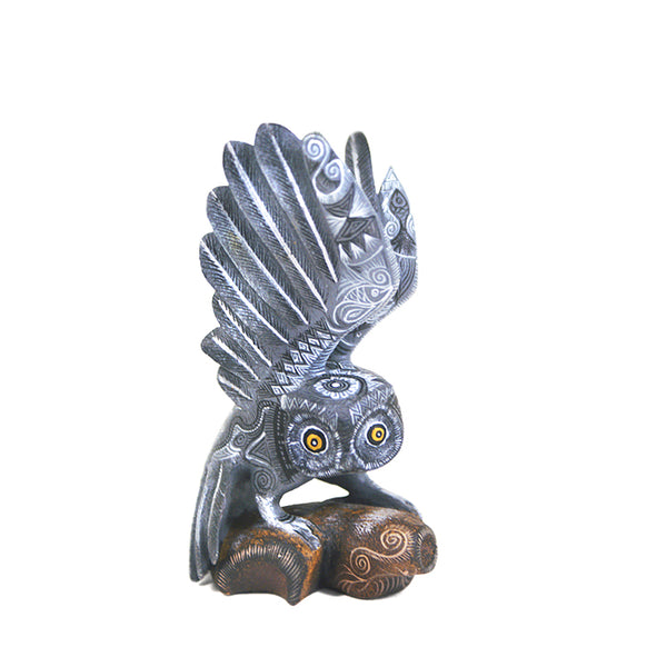Raymundo Fabian: Miniature Owl
