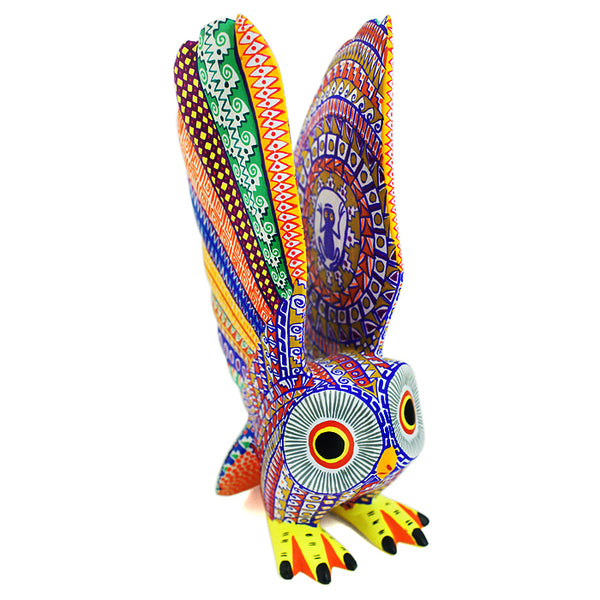 Rocio Hernandez: Colorful Owl