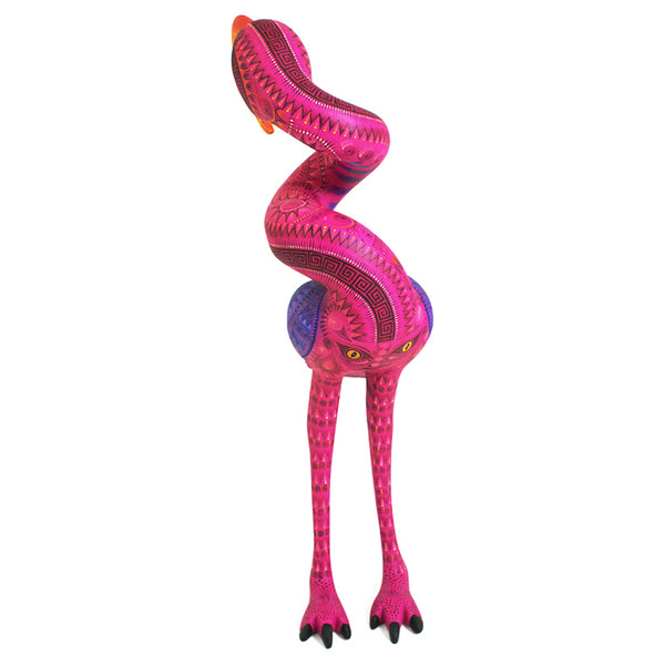 Rocio Fabian: Magnificent Flamingo