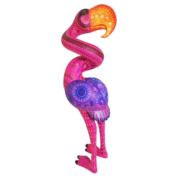 Rocio Fabian: Magnificent Flamingo