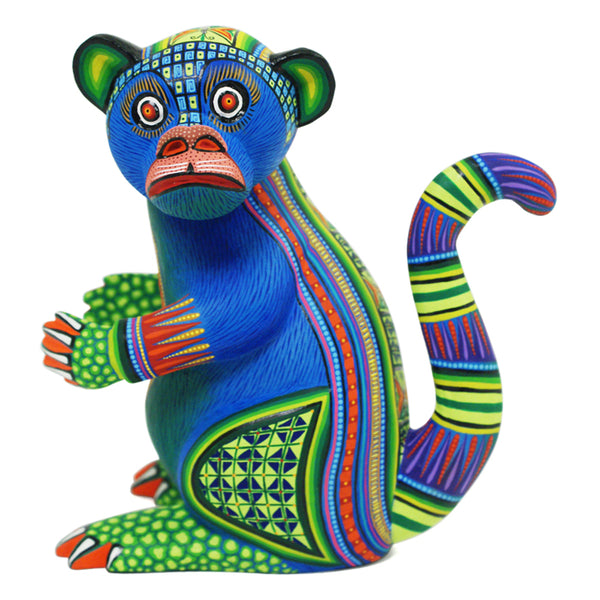 Magaly Fuentes & Jose Calvo: Colorful Monkey