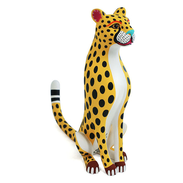 Luis Pablo: Graceful Cheetah