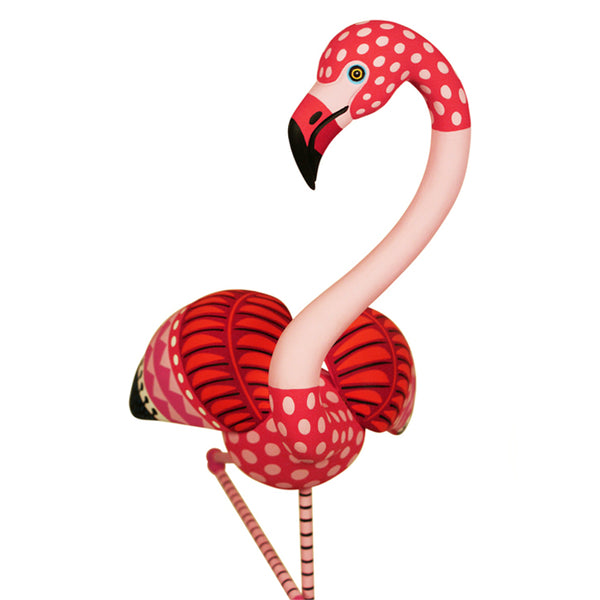 Luis Pablo: Graceful Flamingo