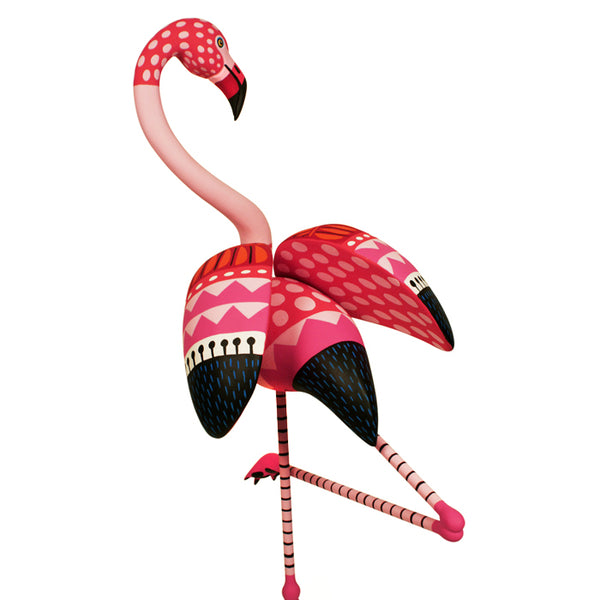 Luis Pablo: Graceful Flamingo