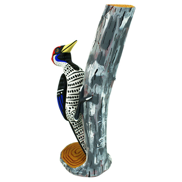 Luis Pablo: One-Piece Woodpecker