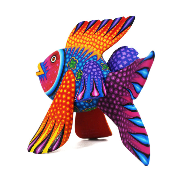Rubi Fuentes & Efrain Broa: Colorful Fish