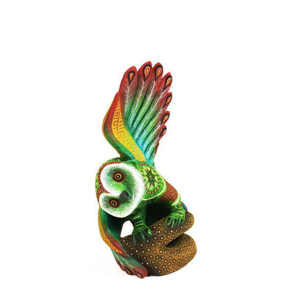 Rocio Fabian:  Fantastic Miniature Owl