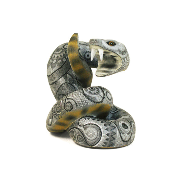 Raymundo & Catalina Fabian: Impressive Miniature Snake