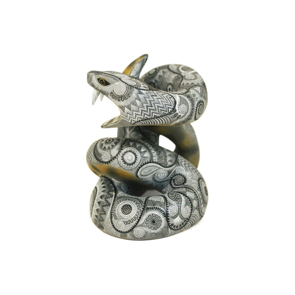 Raymundo & Catalina Fabian: Impressive Miniature Snake
