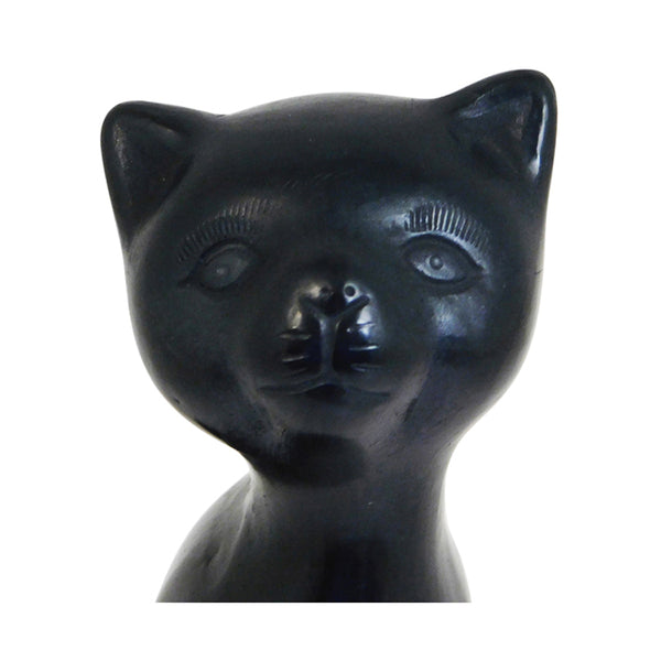 Barro Negro: Cat