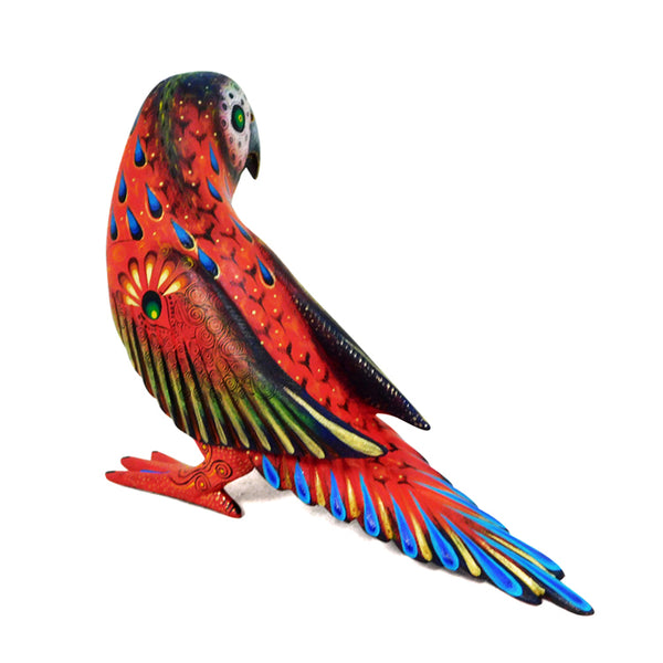 Laura Hernandez: Parrot