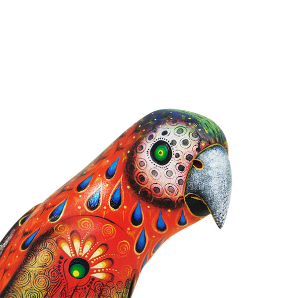 Laura Hernandez: Parrot