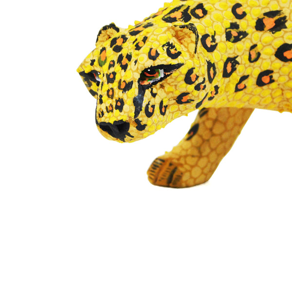 Tribus Mixes: Leopard