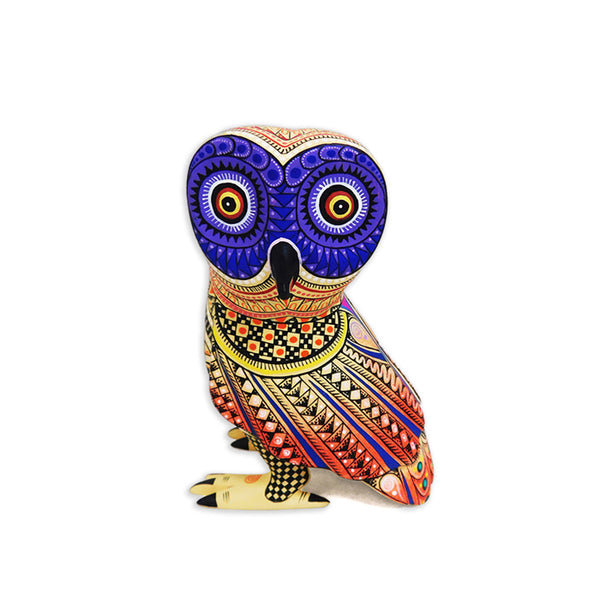 Neri & Soledad Cruz: Beautiful Little Owl