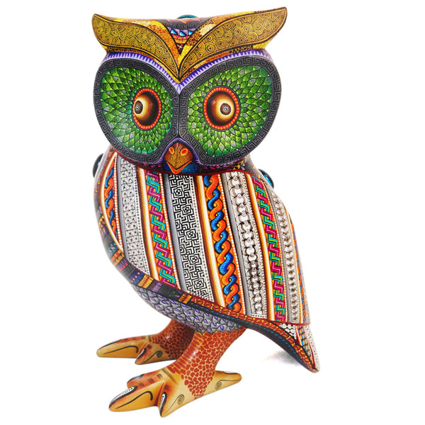 Manuel Cruz: Spectacular Owl