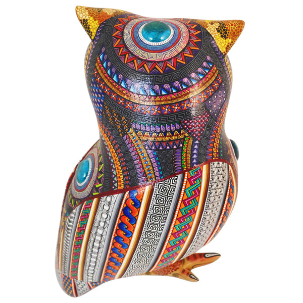 Manuel Cruz: Spectacular Owl