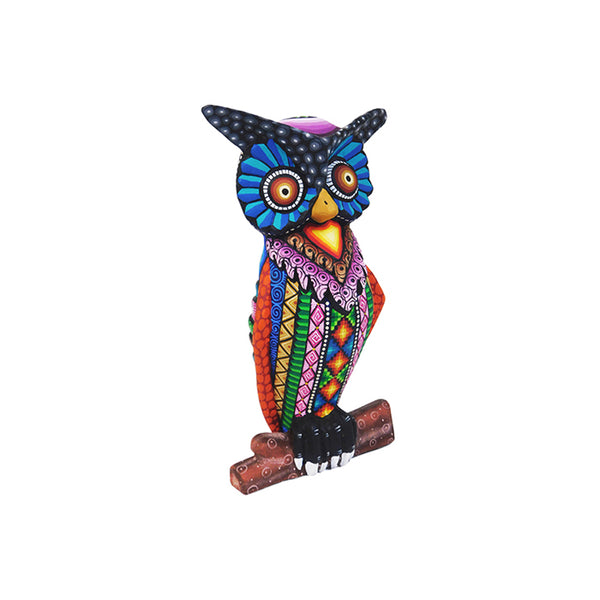 Jose Calvo & Magaly Fuentes: Owl on Tree Trunk
