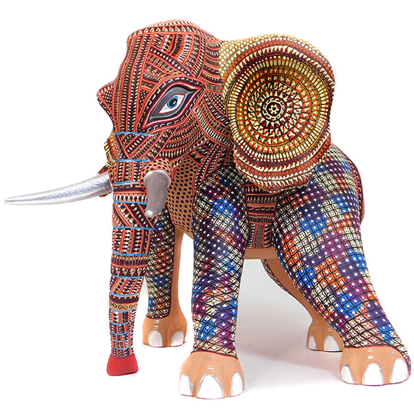 Mario Castellanos: Spectacular Elephant