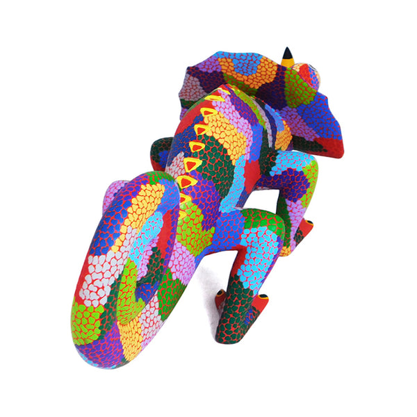 Damian Morales: Rainbow Horned Chameleon