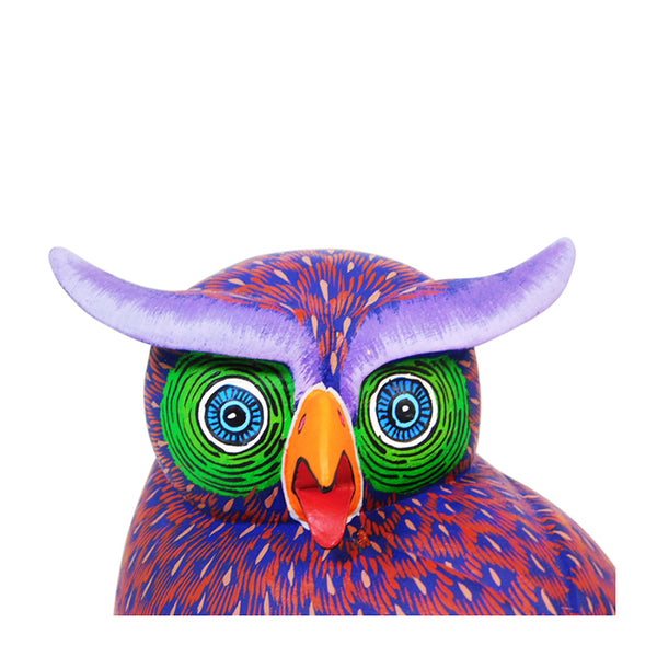 Damian Morales: Horned Owl
