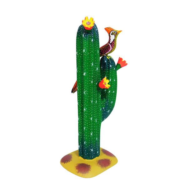 David Blas: Cactus with Bird