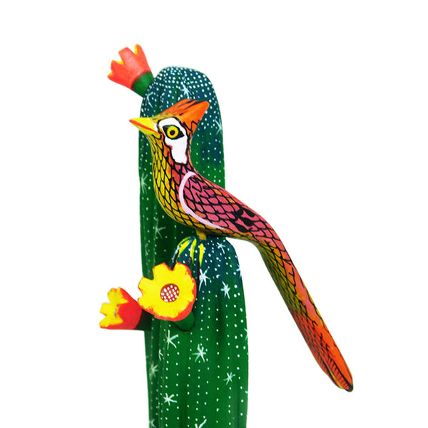 David Blas: Cactus with Bird
