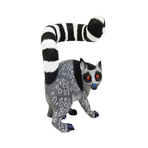 Eleazar Morales: Madagascar Lemur