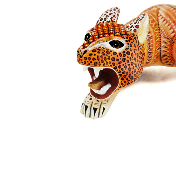 Oscar Fabian: Impressive Jaguar