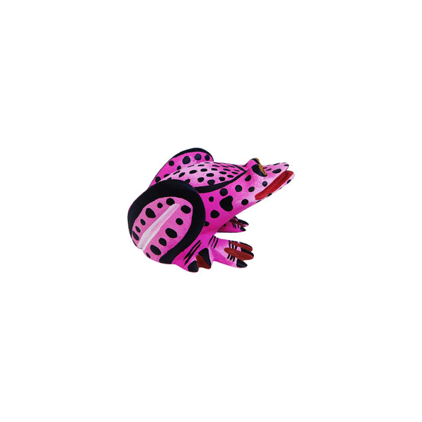 Hedilberto Olivera: Lavender Lucky Frog