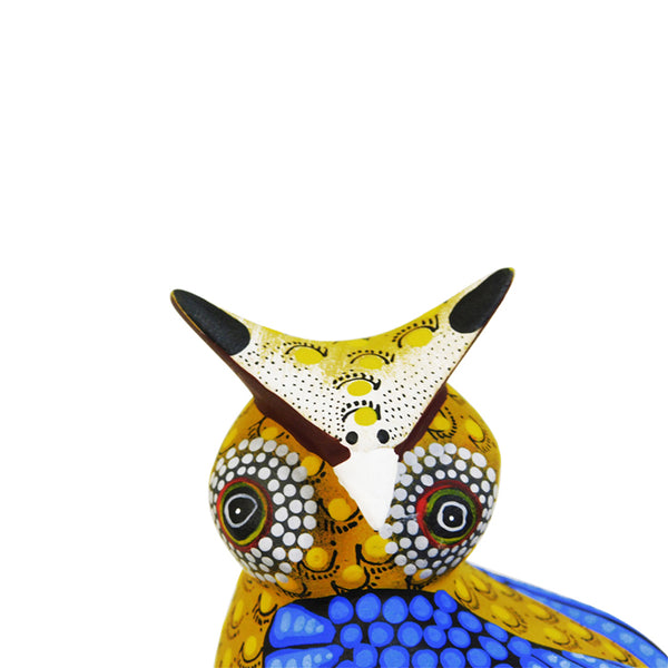 Hedilberto Olivera: Little Owl