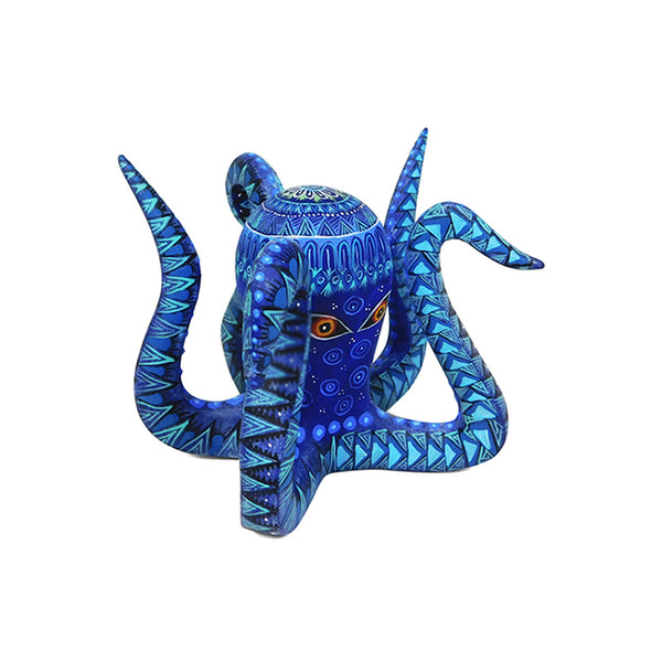 Hedilberto Olivera: Octopus