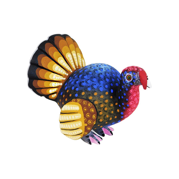 Hedilberto Olivera: Little Turkey