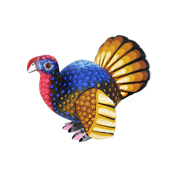 Hedilberto Olivera: Little Turkey