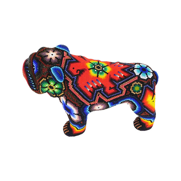 Huichol: Bulldog