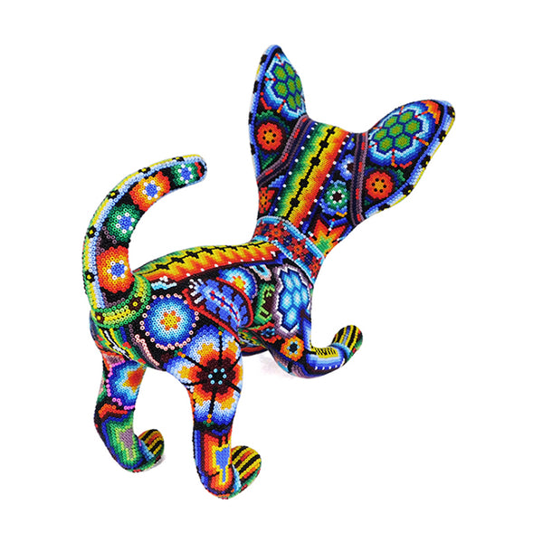 Huichol: Playful Chihuahua Dog