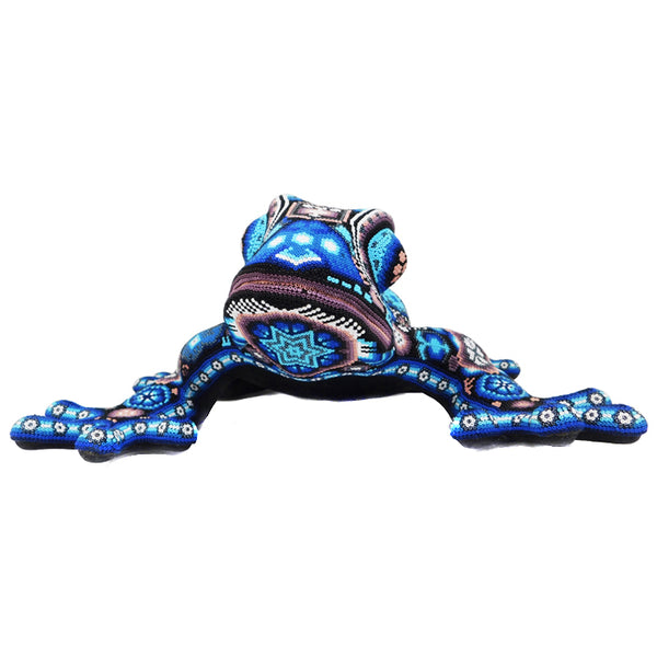 Huichol: Elegant Sapphire Frog