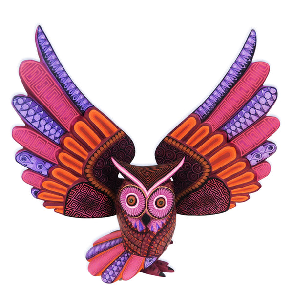 Isabel Fabian: Spectacular Owl
