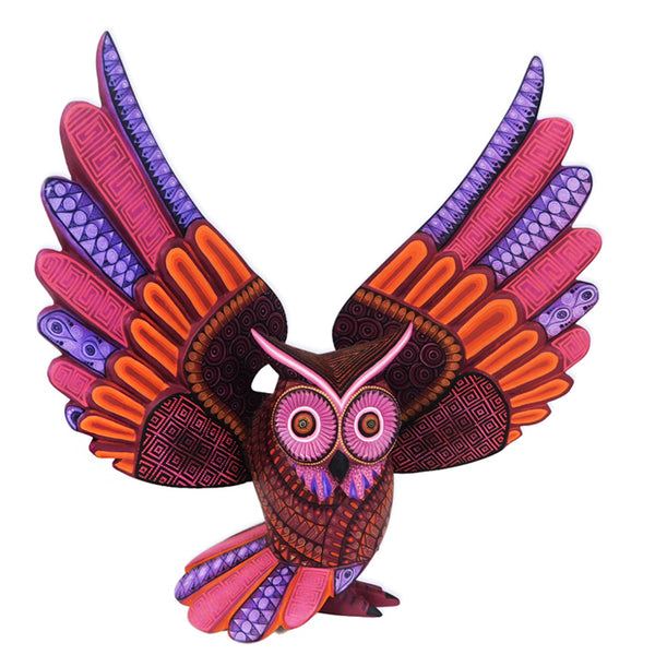 Isabel Fabian: Spectacular Owl