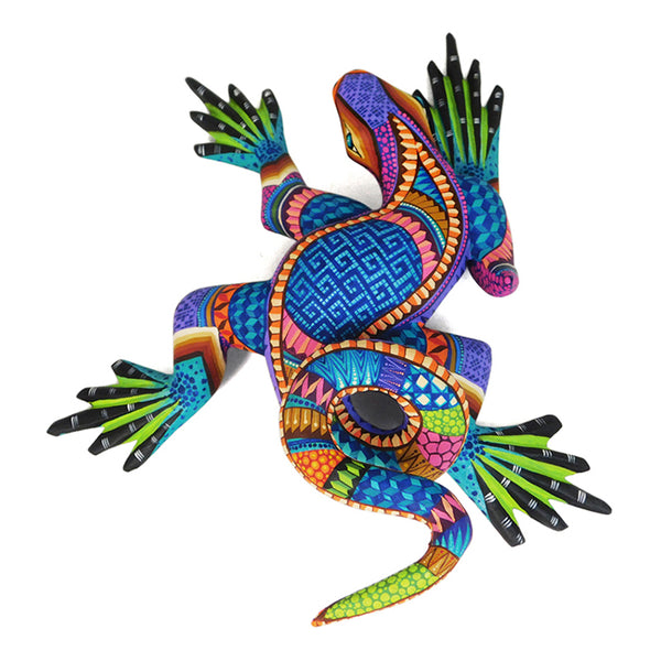 Ivan Fuentes: Rainbow Lizard