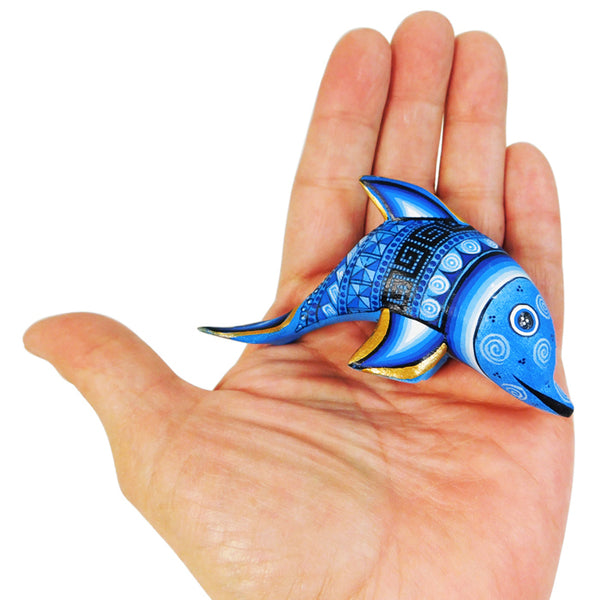 Jorge Cruz: Miniature Dolphins