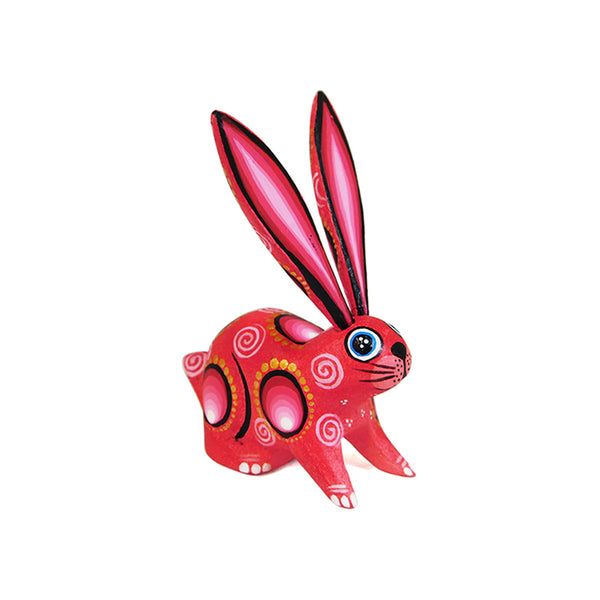 Jorge Cruz:  Little Rose Rabbit