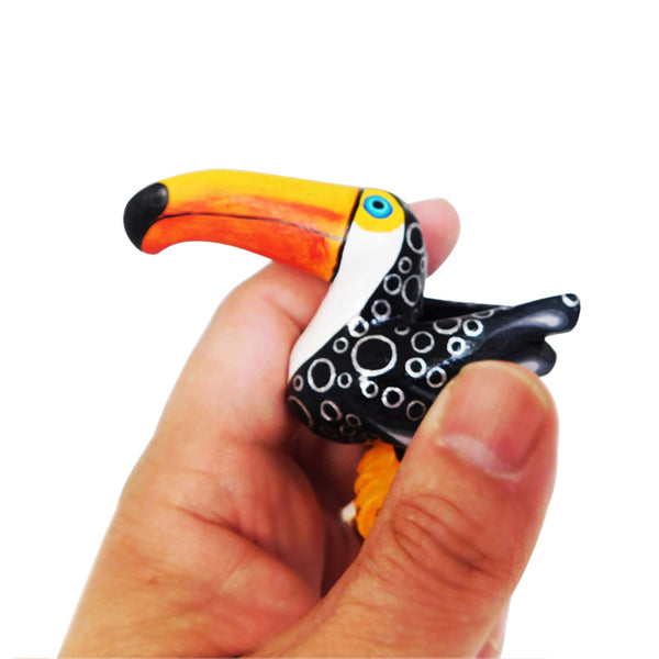 Jorge Cruz: Miniature Toucan