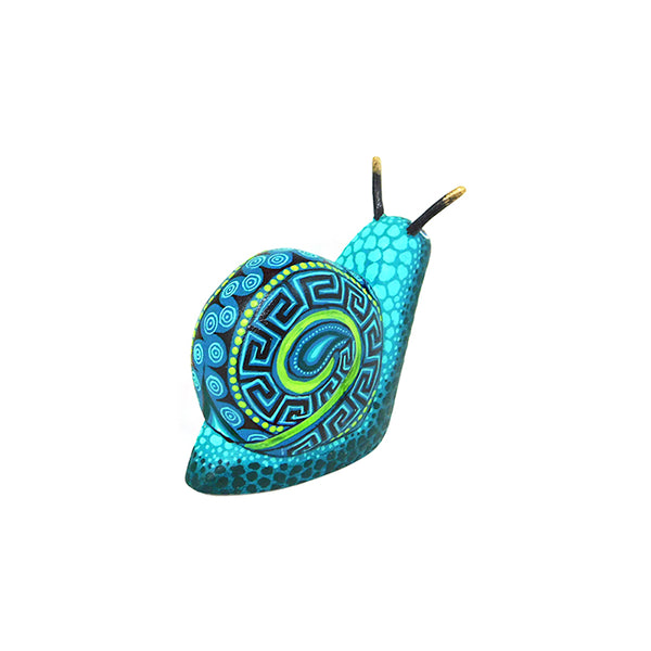 Jorge Cruz: Miniature Snail