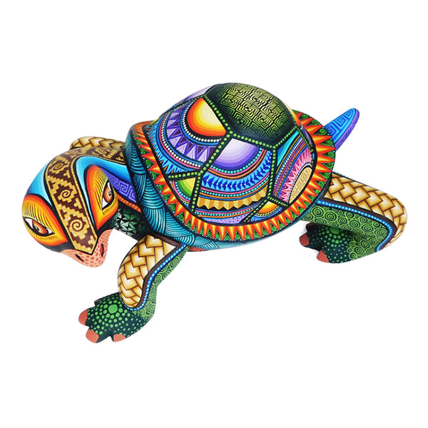 Jose Calvo & Magaly Fuentes: Sun Turtle