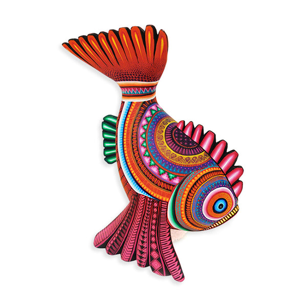 Julia Fuentes: Spectacular Fish